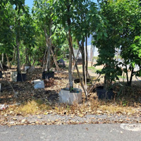 Bán Lô Đất Shr. Mặt Tiền Đường Nhựa. Sát Tỉnh Lộ 8. Xã Tân Thạnh Tây, Củ Chi, Hcm. 10X82M = 819M2