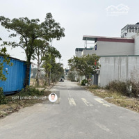 Bán Lô Đất 79,5M2 View Vườn Hoa Tại Tt Trâu Quỳ, Gia Lâm, Khổ Cực Đẹp, Không Lỗi Lầm.