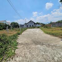 Bán đất Diên Lạc giá rẻ full thổ cư hẻm đường Tổ 2A gần Tỉnh Lộ 2