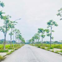 Bán lô Lk22-10 Băc Đầm Vạc, Vĩnh Yên. DT 126m2