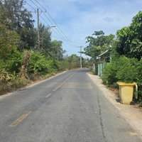 Bán Đất Mặt Tiền Đường Liên Xã - An Phước - Long Thành - Đồng Nai