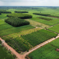 Bán Đất 125M2 Tại Xã Cầu Khởi, Dương Minh Châu, Tây Ninh, 290 Triệu