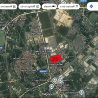 Bán Đất Dịch Vụ Tân Ngọc, Bá Hiến, Bình Xuyên, Vĩnh Phúc, Trục Kinh Doanh Đường 16,5 M