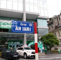 Bđs Dòng Tiền Siêu Hiếm Phố Thái Hà - Doanh Thu 600 Triệu/Năm