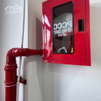 Chdv Góc Ngang 7M Thu Nhập 90 Triệu/Tháng Thang Máy Hxt Nguyễn Văn Đậu P7 Bình Thạnh