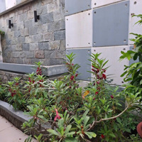 Bán Nhà 3 Tầng Hoàng Hoa Thám, Ngang (10 X 22M), Khu Ga T3, P.13, Tân Bình, Giá Chỉ 18 Tỷ