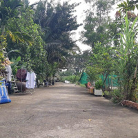 Cần Bán Căn Nhà 1 Trệt 1 Lửng Ngay Trung Tâm Phường Tăng Nhơn Phú A