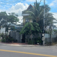 Bán Nhà Mặt Tiền Lê Chí Dân - Tương Bình Hiệp 8X20M, Giá Bán 4Tỷ2