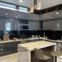 Mặt Tiền Đồng Đen - Cơ Hội Vàng Sở Hữu Nhà Mới Hầm 4 Lầu, Giá Chỉ 17 Tỷ Hdt 40 Triệu