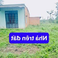 Bán đất tặng nhà Cư Ê Wi- Cư Kuin - Đắk Lắk dt 1531m2 sẵn 150m2 thổ cư sẵn nhà cấp 4 chỉ việc vào ở đường oto tới