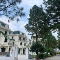 Bán Quỹ Căn Góc, Căn View Công Viên 200M - 300M - 400M Căn Đẹp Không Lỗi