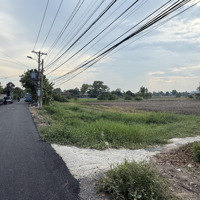 Bán Đất 2Mặt Tiềntại Đường Bờ Bao Xóm Hố, Tân Kiên, Bình Chánh, 42 Tỷ, 3641M2 Hai Mặt Tiền Đắc Địa