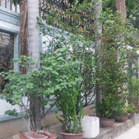 Chính Chủ Bán Gấp Nhàmặt Tiềnđường B Ngay Khu Sầm Uất Nguyễn Sơn, Lũy Bán Bích