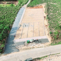 Chỉ 460 Triệu/Lô Bao Sổ,Đất Thuộc Băng 2 Đường Ql70B,Đường Bê Tông 6M,Đất Tại Yên Sơn,Thanh Sơn,Phú Thọ