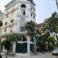 Lô Góc Siêu Hiếm Ngõ To Như Phố Ô Tô Tránh Vào Nhà, View Cực Thoáng Mặt Tiền Rộng