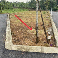 Chính Chủ Bán Đất Trại Lãng, Cổ Đông, Sơn Tây 82M2 Lô Góc 3 Mặt Tiền