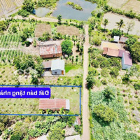 Bán Đất Tặng Nhàdiện Tích1531M2 Sẵn 150M2 Thổ Cư Sẵn Nhà Đường Oto Tới Đất Mặt Tiền Tới 16M Chỉ 719 Triệu