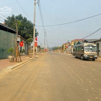 Bán Lô Đất Mặt Đường Trục Chính Đồng Trúc Cơ Hội Vàng Cho Nhà Đầu Tư!