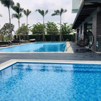 Bán Ch Kikyo Quận 9 ( 1 Phòng Ngủ+1, Giá Bán 2.8 Tỷ), ( 2 Phòng Ngủgiá Bán 3.6 Tỷ) Hỗ Trợ Vay 80%. Liên Hệ: 0902.550.515