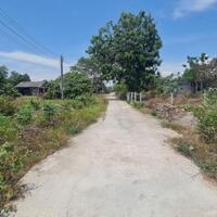 Bán đất 7,5x49 gần biển cam bình, tân phước, lagi, bình thuận. Giá rẻ