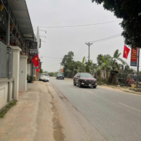 Bỏng Tay Lô Đất Đẹp 95M Đông Anh Gần Nhà Thi Đấu Đa.vườn Sinh Thái Ohana.ngõ Thông, Moning Đỗ Cửa