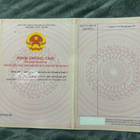Em Có Đầu Tư Lô Đất Biển Quất Lâm Đầu Năm, Hiện Cần Tiền Kinh Doanh Nên Bán Lại Cho Ai Có Nhu Cầu
