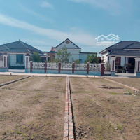 Em Có Đầu Tư Lô Đất Biển Quất Lâm Đầu Năm, Hiện Cần Tiền Kinh Doanh Nên Bán Lại Cho Ai Có Nhu Cầu