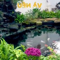 Biệt Thự 300M2 Đường Thăng Long Tp Đà Nẵng