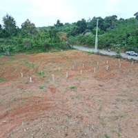 Bán Đất Tại Âu Cơ, 750 Triệu, 211.8M2, Bảo Lâm, Lâm Đồng, Giá Ưu Đãi, Uy Tín
