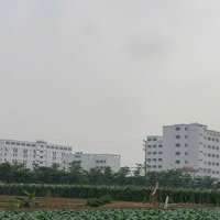 Chính Chủ Bán Lk 10, Kđt Cienco5, Mê Linh: 100M2, Đường 15.5M, Gần Trường Đhtc, 32 Triệu/1M2, Hđgv.