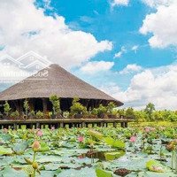 Chuyên Nhận Kí Gửi - Mua Bán Giá Tốt Ở Kdt Làng Sen Việt Nam, Long Châu Hội Phố Kv Đức Hoà - La