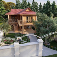 Bán Nhà Vườn 156M2 Giá Bán 3.9Ty Diện Tích 156M2 (8X20) P. Tân Bình Thành Phố Dĩ An Bình Dương