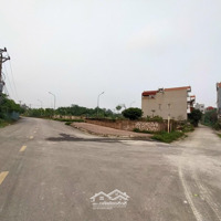 Bán Đất 80M Đấu Giá Hội Phụ - Đông Hội. Gần Dự An Vin Cổ Loa