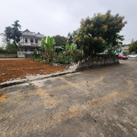 180M Ful Thổ Cư Lô Góc Cực Đẹp Tái Định Cư Hoàng Văn Thụ Cm Hn