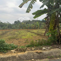 Cần Bán 116M2 Full Đất Ở Tđc Đồng Doi Yên Bài Ba Vì Hn Liên Hệ: 0868983386.
