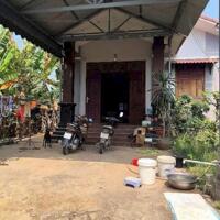 Cho thuê nhà vườn đẹp 200m2, đường oto, gần KDC Tân Phong chỉ 7,5tr