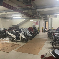 Bán Toà Nhà 11T, Mặt Phố Nguyễn Văn Cừ, Có Hầm, Mt11M, Dòng Tiền 6 Tỷ/Năm; Pccc/Hoàn Công Đầy Đủ