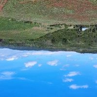 Bán Trang Trại, Khu Nghỉ Dưỡng 22 Tỷ, 70000 M2 Tại Đan Phượ0000 M2 Tại Đan Phượng, Lâm Hà, Lâm Đồng