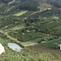 Bán Trang Trại, Khu Nghỉ Dưỡng 22 Tỷ, 70000 M2 Tại Đan Phượ0000 M2 Tại Đan Phượng, Lâm Hà, Lâm Đồng