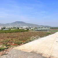 Bán Đất Trung Tâm Xã Liên Hiệp,Diện Tích5X34, Cn 170M2 Thổ Cư, Đường 5M Giá Bán 990 Triệu