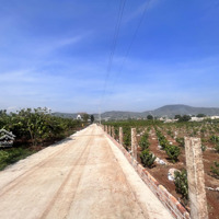 Bán Đất Trung Tâm Xã Liên Hiệp,Diện Tích5X34, Cn 170M2 Thổ Cư, Đường 5M Giá Bán 990 Triệu