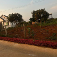 Bán Lô Đất Ngay Trung Tâm Xã Liên Hiệp,Diện Tích10X35M, Cn 351M2 Có 150M2 Thổ Cư, Giá Bán 2.2 Tỷ
