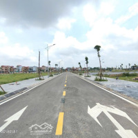 Chuyển Nhượng Đấu Giá Thuỵ Lâm, Đông Anh