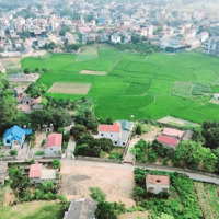 Hàng Hót Hàng Hót Bán Đất 720M2 Tại Xã Nam Phương Tiến, Chương Mỹ, Hà Nội, 5,4 Tỷ