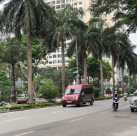 Bán Gấp Bt Víp 200M2 Xây 4 Tầng Phố Bùi Xuân Phái, Mỹ Đình 2, Nam Từ Liêm, Giá Bán 72 Tỷ Vnd.