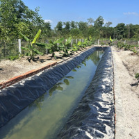 Bán Đất Nền 1300M2 Tại Xã Quế Phú, Quế Sơn, Quảng Nam, Giá Siêu Hời 820 Triệu Vnd