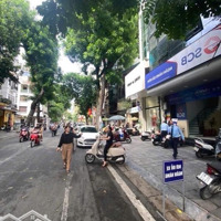 Víp! Bán Đất Mặt Phố Ngô Thì Nhậm 259M2 - Vỉa Hè - Kinh Doanh Tấp Nập - Giá Bán 175 Tỷ!