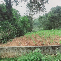 Bán Đất 2050M2, 3,3 Triệu / M2 Tại Thị Trấn Lương Sơn, Lương Sơn, Hòa Bình