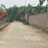 Lô Góc 100M Tại Sài Sơn - Quốc Oai