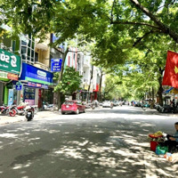 Kịch Độc! Mặt Phố Nguyên Hồng, Vỉa Hè,Kinh Doanh, Mặt Tiền Vip,Diện Tích 60 Triệu/Th, 47M*5T